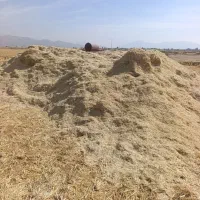 فروش کاه