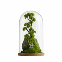 تراریوم جاودان گیفت شرکتی و تبلیغاتی کادو