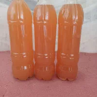 آبغوره خانگی|خوردنی و آشامیدنی|قم, شاه ابراهیم|دیوار