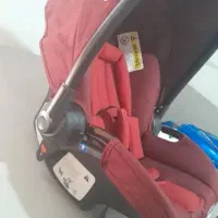 کریر سایه بون دار