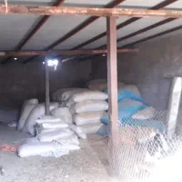 خانه همراه دامداری'دررستم آبادکوچک'روبروی شهرک|فروش خانه و ویلا|کنگاور, |دیوار