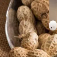 بادام زمینی