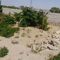 زمین مسکن ملی