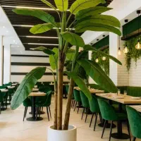 درخ جه|گل مصنوعی|تهران, مشیریه|دیوار