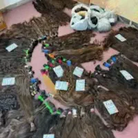 (خریدار)اصلی مو طبیعی قیمت ویژه بزرگترین شعبه قم|آرایشی، بهداشتی، درمانی|قم, سالاریه|دیوار