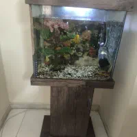 آکواریوم