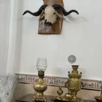 شاخ|مجسمه، تندیس، ماکت|تهران, شهرک غرب|دیوار