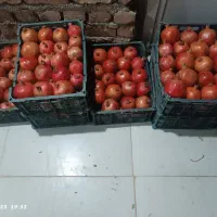 انار جهت رب انار موجود|خوردنی و آشامیدنی|ششطراز, |دیوار