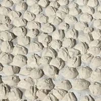 کشک و قارا بز