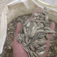 استخدام فروشنده خانم