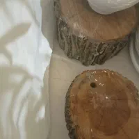 تنه درخت دکوری