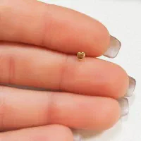 پیرسینگ بینی طلا