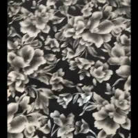 دو عددپاییزه .دو عدد مانتو و پارچه|لباس|اردبیل, |دیوار