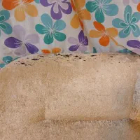 مبل راحتی|مبلمان خانگی و میز عسلی|مشهد, هنرستان|دیوار