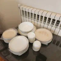 سرویس آرکوپال سرویس سیلویا آبکش و لگن استیل