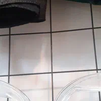 میزسبدحراجی مانکن نیمه توری مشبک چوبکار طلایی قفسه|فروشگاه و مغازه|مشهد, حجاب (شهرک غرب)|دیوار