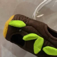 مخفی گاه پرنده