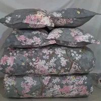 لحافدوزی بیرانوند