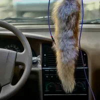 پژو 405|خودرو سواری و وانت|پیرانشهر, |دیوار