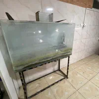 آکواریوم یک در ۴۰
