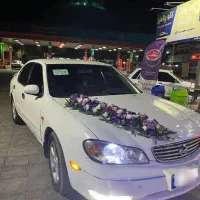 اجاره ماشین عروس با شرایطی آسان|خودرو اجاره‌ای|قزوین, |دیوار