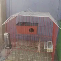 قفس|لوازم جانبی حیوانات|یاسوج, |دیوار