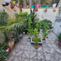 ۵۱متر۱۰ساله/تک واحد فول امکانات سر تا سر نور/کمالی|فروش آپارتمان|تهران, مخصوص|دیوار