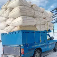 کاه گندم دیم. کاه امسال