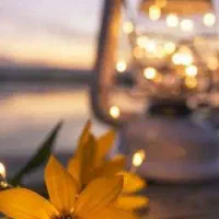 سلام دوستان جویای کار هستم