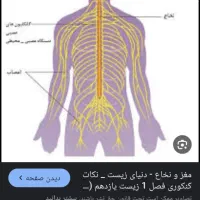 رفع انسدادرگها.درمان کامل سیاتیک وسیستم عصبی۰