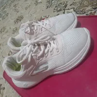 کفش استوک|کیف، کفش، کمربند|سنندج, |دیوار