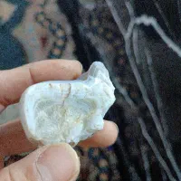 مرجان|کلکسیون اشیاء عتیقه|آبیک, |دیوار