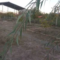 ویلا نیمه کاره شخصی ۵ کیلومتری رود ارس جلفا|فروش خانه و ویلا|جلفا, |دیوار