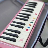 پخش ملودیکا کل کشور استوک اورجینال