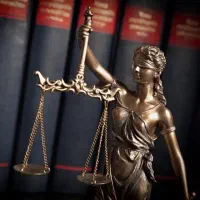 استخدام معرف پرونده های حقوقی و دریافت درصد