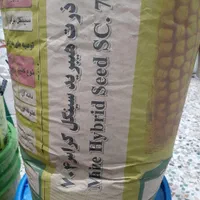 بذر ذرت ۷۰۴ دشت مغان تولید ۱۴۰۳|خدمات باغبانی و درختکاری|شهرکرد, |دیوار