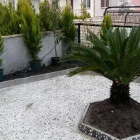 شرکت مهندسی فضای سبز لتکا|خدمات باغبانی و درختکاری|تهران, شهرک آزادی|دیوار