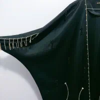 عبا|لباس|رباط‌کریم, الارد|دیوار