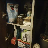 آکواریوم|ماهی|اندیشه, اندیشه فاز ۳|دیوار