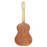 گیتار مارتین D6|گیتار، بیس، امپلیفایر|پرند, فاز ۶|دیوار