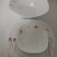 ارکپال چهار دست ۲۴نفره