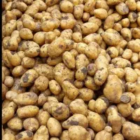 سیب زمینی درجه یک امسل فروش کیسه ای