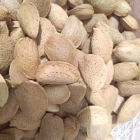 بادام وگردو تازه با پوست و بدون پوست مغز سفید|خوردنی و آشامیدنی|لنجان, |دیوار