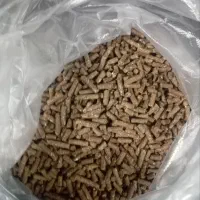 خوراک دام