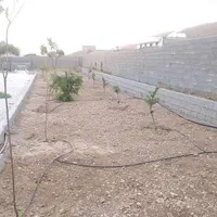 باغ شهری|فروش خانه و ویلا|شیراز, نیستان|دیوار