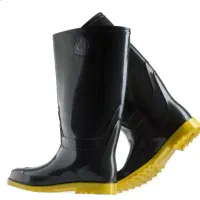 چکمه ساق بلند