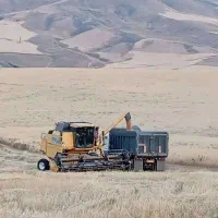 کمباین نیوهلند