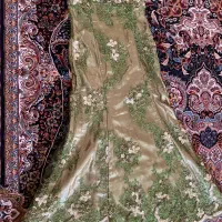 لباس مجلسی|لباس|شیراز, حومه شیراز|دیوار