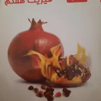 کتاب های زیست/فیزیک/ریاضی علامه حلی هفتم و هشتم|کتاب و مجله آموزشی|هشتگرد, شهرک ریحانه|دیوار