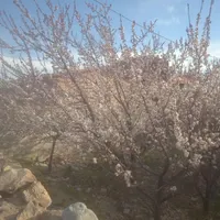 فروش زمین مسکونی